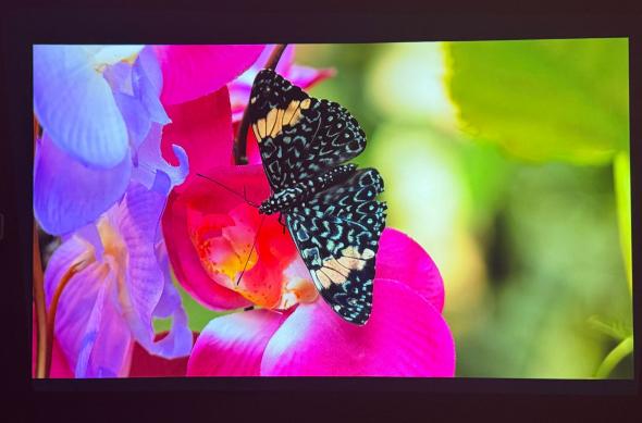 Epson Lifestudio Flex (EF-72) - Imagine 4K (2): Imagine_ (7).jpg
