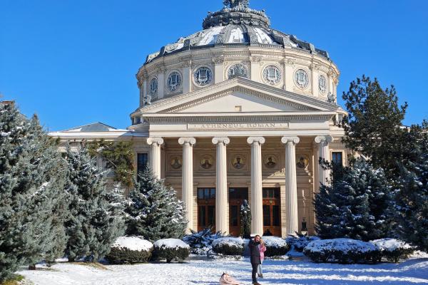 Motorola Signature - Mostre soare zoom