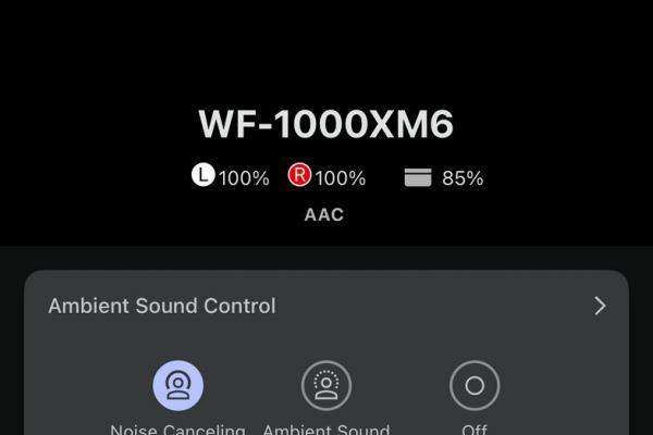 Sony WF-1000XM6 - Screenshots