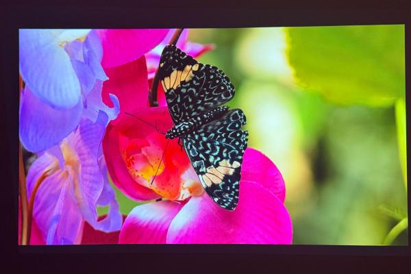 Epson Lifestudio Flex (EF-72) - Imagine 4K (2)