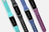 ZeBand (9).jpg