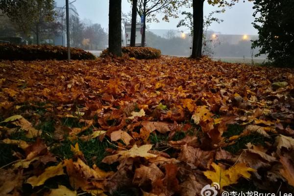 Huawei Mate 9 - Mostre foto Weibo