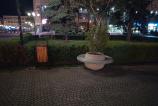 IMG_20250519_235610.jpg