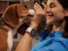RESIGILATUL ZILEI #37: Huawei Watch D2 – eleganță, tehnologie și grijă pentru sănătate, acum mai accesibil ca oricând