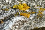Nothing-Phone-3a-Pro-Mostre-macro_003.jpg