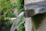 20110623_593.jpg