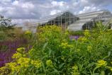 20110623_038.jpg