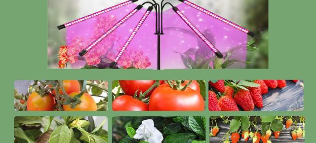 E LUNI e AMAZON: Azi vă recomandăm o lampă LED UV cu 5 capete ajustabile pentru creșterea plantelor la interior