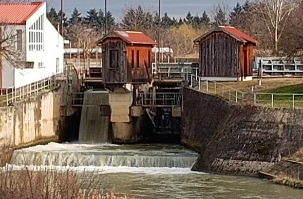 Motorola Moto G73 5G - Foto ziua: IMG_20230220_135416740.jpg