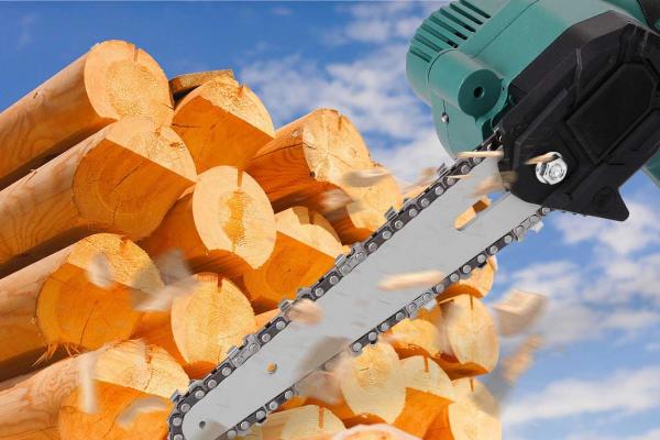 Practic și eficient: fierăstrăul electric portabil la un preț imbatabil; Ofertă limitată!