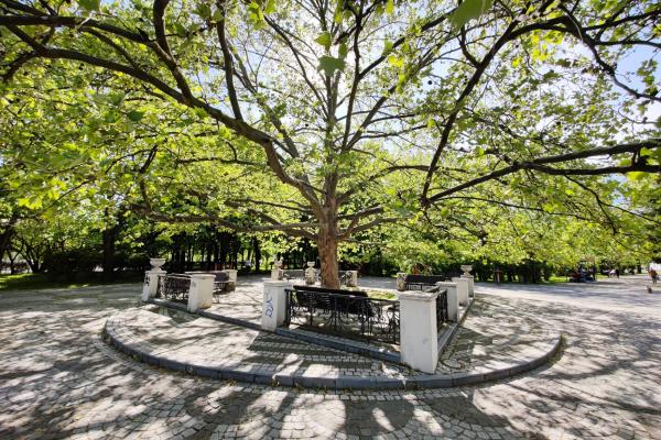 Xiaomi Mi 11 Ultra - Mostre Foto (ziua)