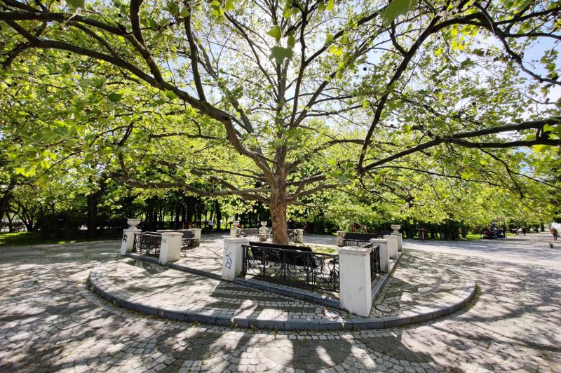 Xiaomi Mi 11 Ultra - Mostre Foto (ziua): IMG_20210506_161747.jpg