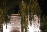 20180619_010853.jpg