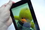 Asus-VivoTab-Note-8-Galerie-foto-Mobilissimo.ro_006.jpg