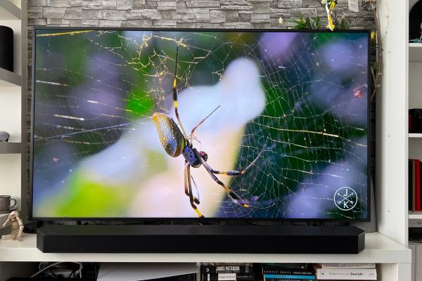 Samsung The Frame LS03D - Design