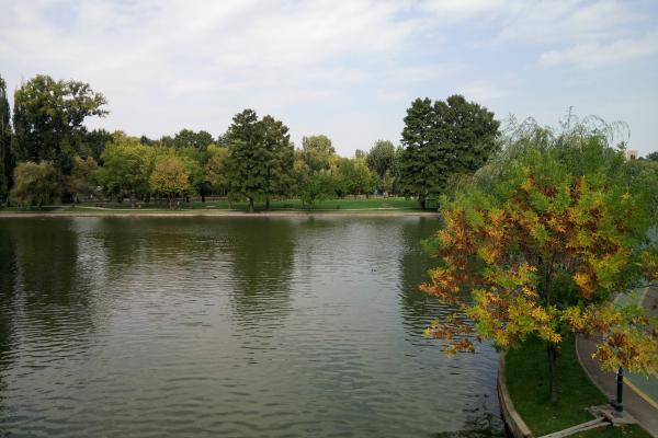 Allview X2 Xtreme - Mostre Foto (ziua)