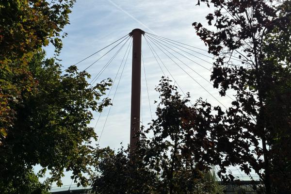 Apple iPhone 15 - Mostre Foto (zoom)