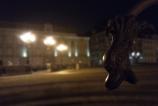 IMG_20170208_231450.jpg