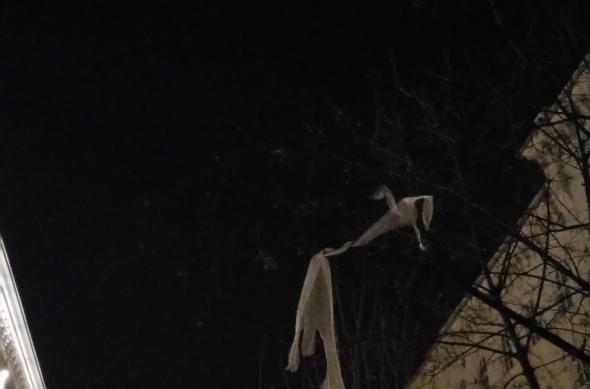 Sony Xperia XA - Mostre Foto (seara): DSC_0016.JPG