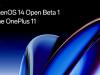 OnePlus 11 a primit actualizarea la Android 14 alături de interfața OxygenOS 14 (Open Beta 1)