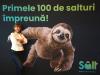 Pentru ce fel de plăți folosesc românii Salt Bank; Cum arată comportamentul financiar al celor 250.000 de utilizatori