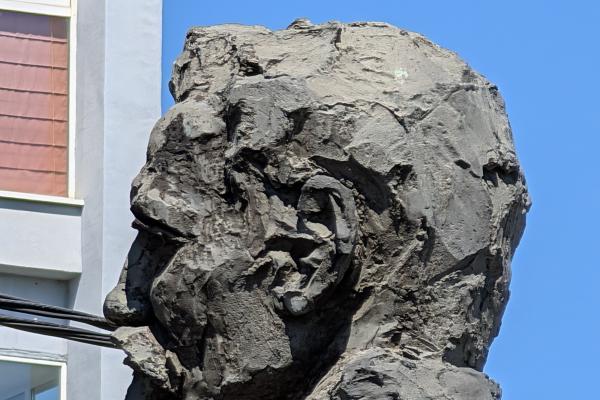 Google Pixel 9 Pro XL - Mostre Foto (zoom)