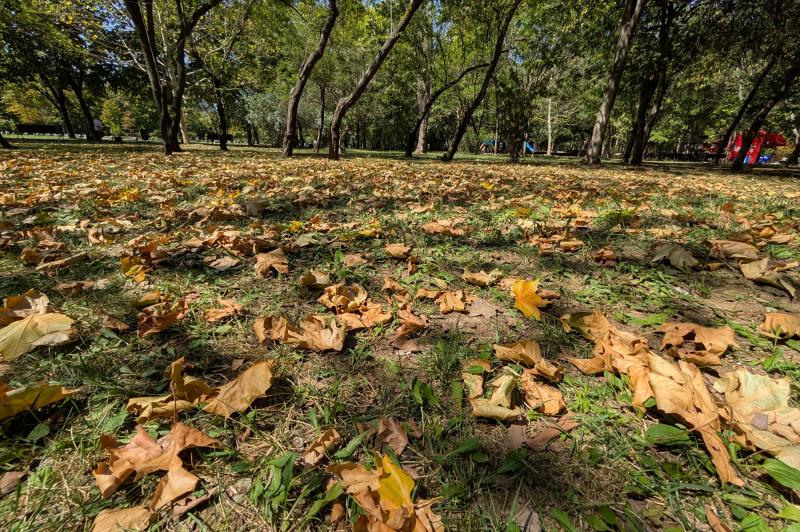 Google Pixel 9 Pro XL - Mostre Foto (ziua): PXL_20240819_110552072.jpg