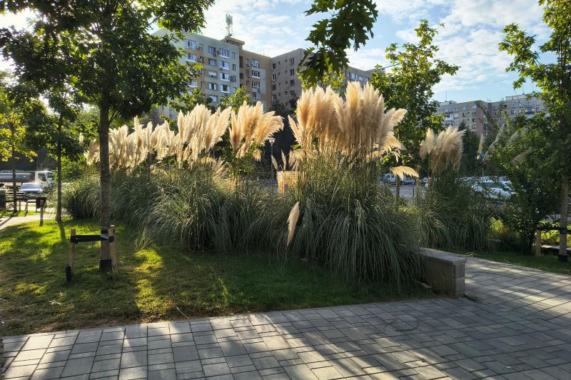 Motorola Edge 50 Neo - Mostre Foto (ziua): Motorola-edge-50-Neo-Ziua_019.jpg