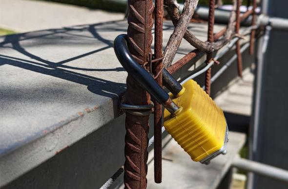 Honor 600 - Mostre bokeh: Bokeh_ (5).jpg