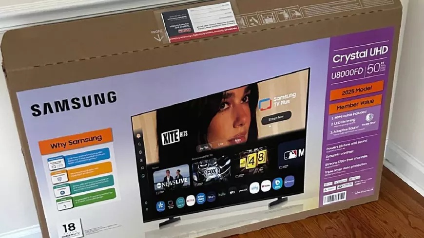 Dua Lipa cere 15 milioane de dolari de la Samsung; Artista spune că imaginea ei a fost folosită fără acord pe cutiile televizoarelor