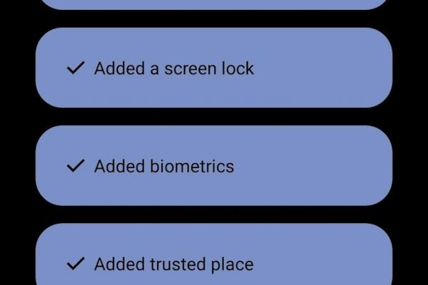 Identify Check - One UI 7