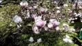 HTC Desire 820 video sample (HD, 1280x720px, 60 FPS) - Mobilissimo.ro