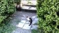 HTC Desire 820 slow motion video sample (768x432px, 24 FPS) - Mobilissimo.ro