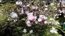 HTC Desire 820 video sample (HD, 1280x720px, 60 FPS) - Mobilissimo.ro