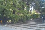 HTC-Desire-S-Mostre-foto-ziua_014.jpg