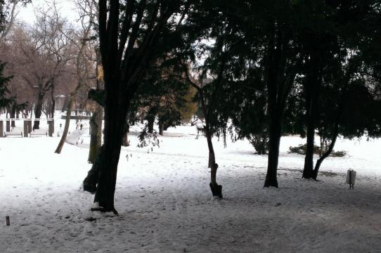 HTC Windows Phone 8X - Mostre foto ziua: HTC-8X-Mostre-foto-ziua_015.jpg