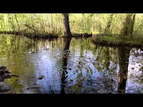 HTC Desire 820 image stabilisation video sample (Full HD, 1920x1080px, 30 FPS) - Mobilissimo.ro