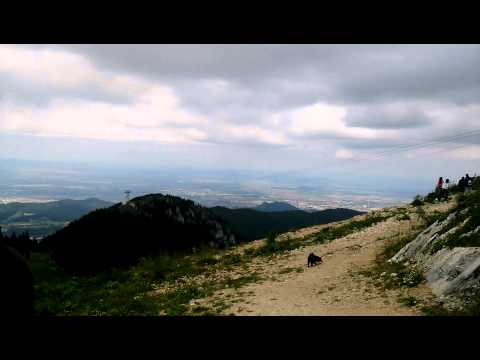 OPPO Find 5 video sample III. - Mobilissimo.ro