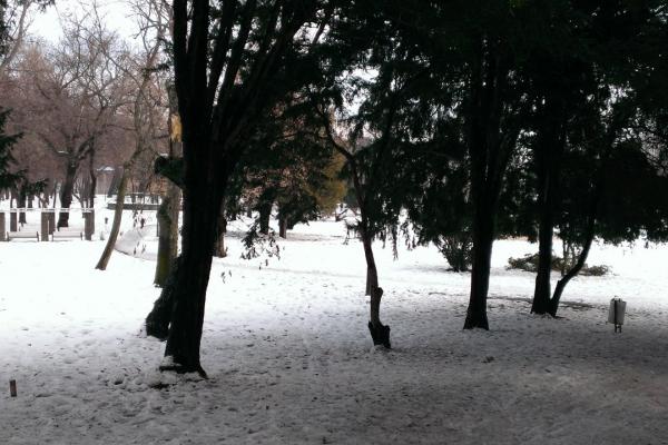 HTC Windows Phone 8X - Mostre Foto (ziua)