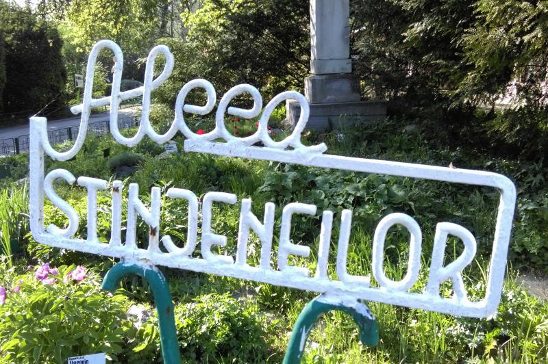 HTC Desire 820 - Mostre Foto (ziua): HTC-Desire-820-Mostre-foto-ziua_024.jpg